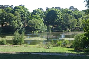 P1020193