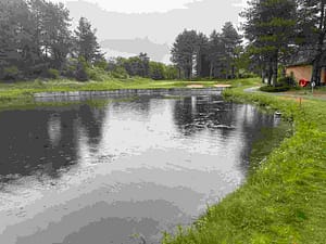 IMG_5489